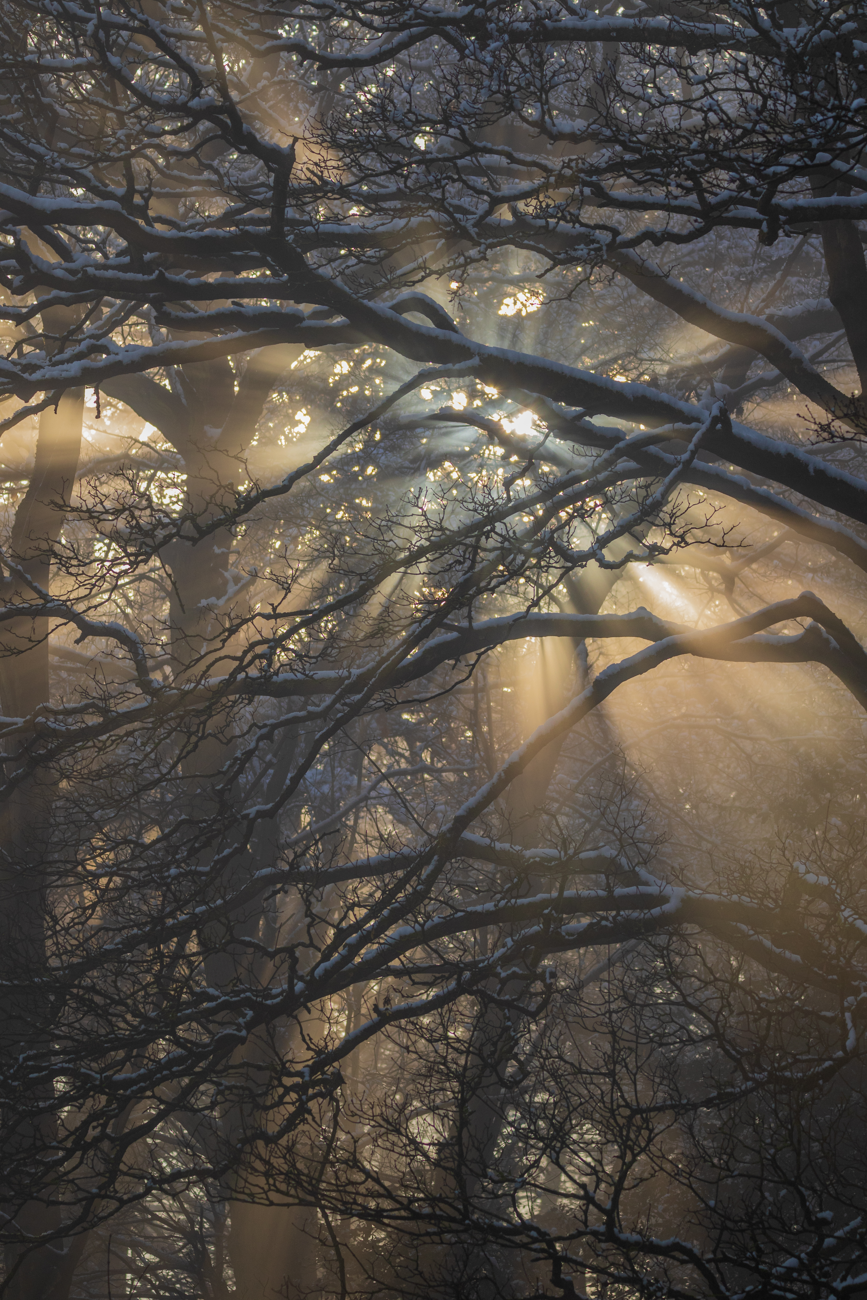 11. NOVEMBER James Lowry Community