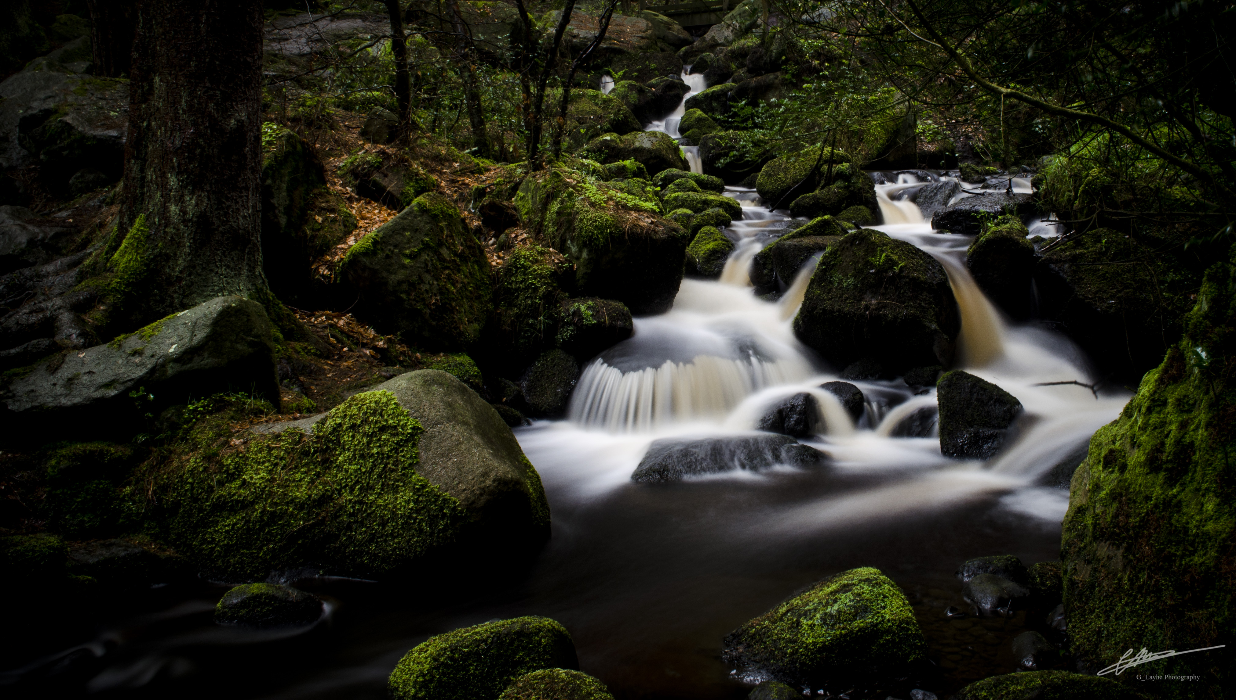 3. MARCH Gary Layhe Community